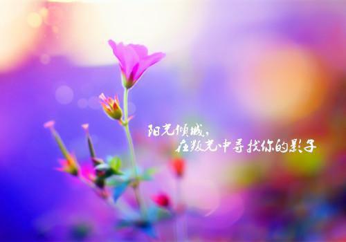 沈君桦宋知慧（沈君桦宋知慧）全文免费阅读无弹窗大结局_（沈君桦宋知慧）沈君桦宋知慧最新章节列表（沈君桦宋知慧）