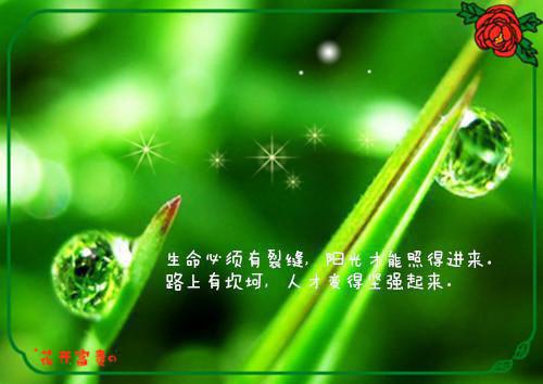 宋随岑念苏唐（陌人陌言）全文免费阅读无弹窗大结局_ (宋随岑念苏唐)陌人陌言免费阅读无弹窗最新章节列表_笔趣阁（宋随岑念苏唐）