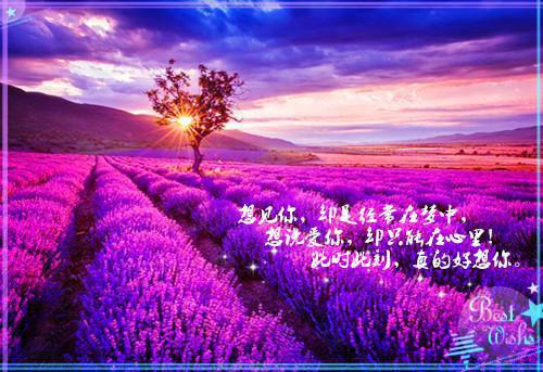 失忆后我拒做舔狗老婆求我别离婚全集目录（陈乾苏雪）全文免费阅读无弹窗大结局_（陈乾苏雪免费阅读全文大结局）最新章节列表_笔趣阁（陈乾苏雪）