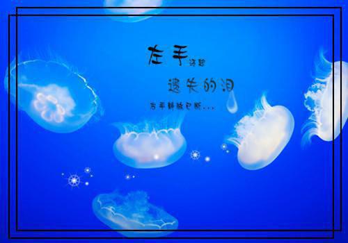晚风何曾吹入怀郁遥柯寒珩抖音新书热荐 小说晚风何曾吹入怀全文完整版免费阅读