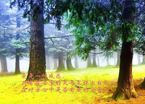 寒光以媚顾寒光小说全文 寒光以媚顾寒光（盛明媚顾寒光）最新章节免费阅读