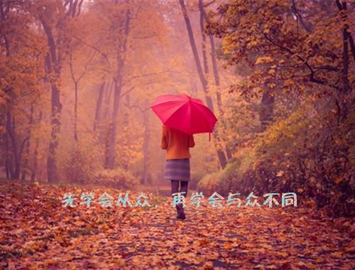 沈弛牧夏鸢全文免费阅读(爱不在彼岸小说)全文免费阅读无弹窗大结局_爱不在彼岸小说沈弛牧夏鸢全文免费阅读最新章节列表_笔趣阁（爱不在彼岸小说）
