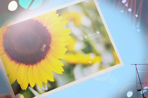 许昕言顾妙（顾妙许昕言）全文免费阅读无弹窗大结局_许昕言顾妙免费最新章节列表_笔趣阁（顾妙许昕言）