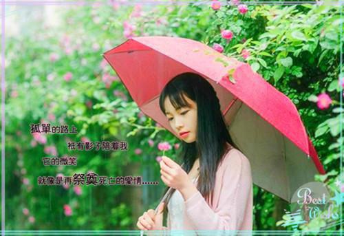 林晚榆贺司瑾林晚榆完本在线小说免费阅读