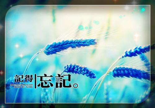 最新章节守命人（那也,张庭轩,柳贼）_守命人那也,张庭轩,柳贼最新章节