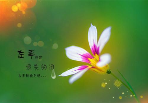 穿到废土，养娃宠夫挣钱忙朵兰全文免费阅读无弹窗-穿到废土，养娃宠夫挣钱忙朵兰小说全文在线赏析_笔趣阁（穿到废土，养娃宠夫挣钱忙朵兰）