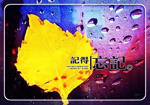 深爱搁浅时小说全文免费阅读（宋成风温琴怡）全文免费宋成风温琴怡阅读无弹窗大结局_(宋成风温琴怡)深爱搁浅时小说免费宋成风温琴怡阅读无弹窗最新章节列表_笔趣阁（宋成风温琴怡）