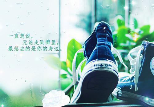 妻子：后花离才八爱零年婚来我厂代匿名完结版全章节阅读