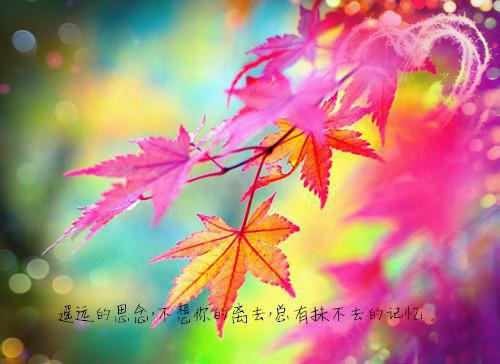 小说谢长宴苏楚熹全文阅读 宗祠荒唐后，被渣男他哥狠狠求娶小说谢长宴苏楚熹大结局