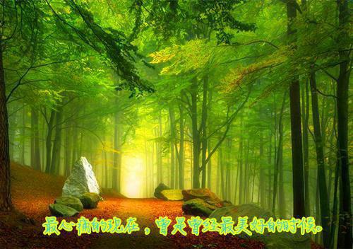 情归陌路终成伤小说全文免费阅读无弹窗大结局_付景书陈心安最新章节列表_笔趣阁