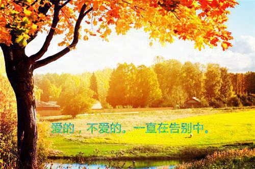 阮梨薛延(阮梨薛延小说）全文免费阅读无弹窗大结局_阮梨薛延最新章节列表_笔趣阁（阮梨薛延）