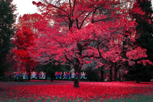 穿成假太监后，我把暴君撩成恋爱脑(穿成假太监后，我把暴君撩成恋爱脑后续)全文免费阅读无弹窗大结局_(穿成假太监后，我把暴君撩成恋爱脑后续全文大结局)穿成假太监后，我把暴君撩成恋爱脑后续最新章节列表_笔趣阁 （穿成假太监后，我把暴君撩成恋爱脑）