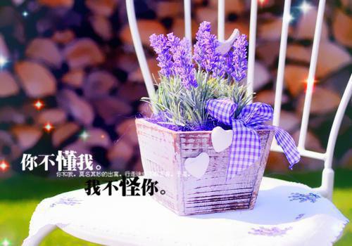结婚这些年，她就像个笑话（江吟玉沈经年）女生必看小说全集_江吟玉沈经年（结婚这些年，她就像个笑话）全文免费阅读