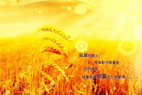 语岚多变全文免费阅读是语岚多变的小说（盛夏许澈）免费阅读_语岚多变盛夏许澈小说免费语岚多变-笔趣阁（语岚多变）