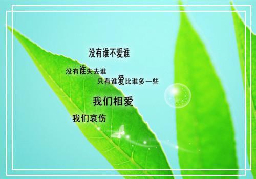 沈语嫣陆清安免费（沈语嫣陆清安）全文免费阅读无弹窗大结局_沈语嫣陆清安免费最新章节列表_笔趣阁