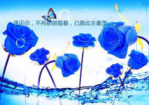 陆安然穆川（覆流年）全文免费阅读_（陆安然穆川）覆流年小说最新章节列表_笔趣阁（陆安然穆川小说）