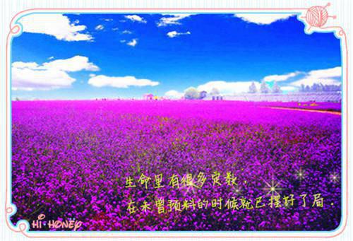 沈黎顾鸣铮小说(沈黎顾鸣铮小说)全文免费阅读无弹窗大结局_(沈黎顾鸣铮小说全文大结局)最新章节列表_笔趣阁（沈黎顾鸣铮小说）