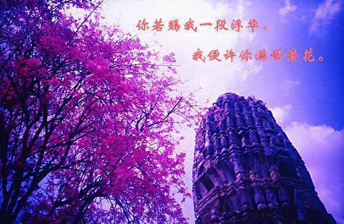 霍太太她又软又萌免费阅读（霍太太她又软又萌）全文免费阅读无弹窗_霍太太她又软又萌最新章节列表笔趣阁（霍太太她又软又萌）