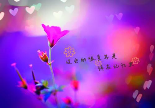 苏落落萧行渊病弱王爷的替嫁妻又横又抠免费小说-病弱王爷的替嫁妻又横又抠（苏落落萧行渊）已更新最新章节