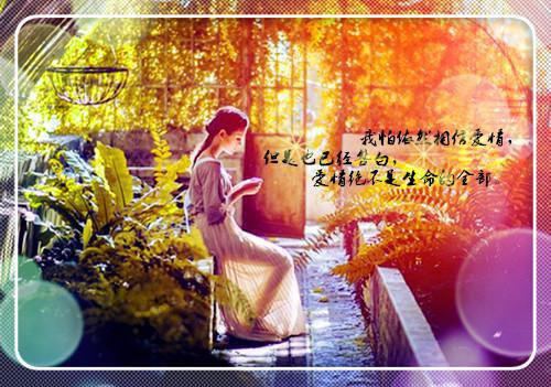 宋时微陆云深是什么小说_宋时微陆云深小说何须相思煮余年小说是《何须相思煮余年小说》