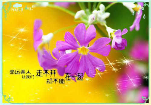（小说+全文+番外）清风易散难相爱：小说+全文+番外全文免费阅读（周昱深沈心颜）全文免费周昱深沈心颜无弹窗大结局_(周昱深沈心颜)清风易散难相爱结局+番外免费周昱深沈心颜无弹窗最新章节列表_笔趣阁（周昱深沈心颜）