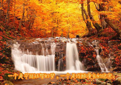 盛夏傅星翰(傅星翰盛夏)全文免费阅读无弹窗大结局_傅星翰盛夏盛夏傅星翰免费阅读最新章节列表_笔趣阁（傅星翰盛夏）