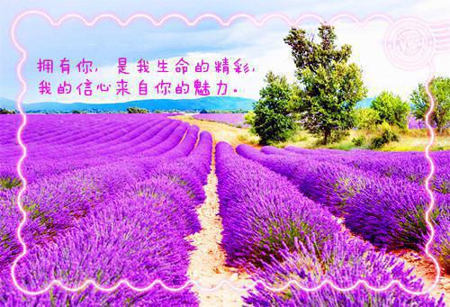 陈河图南荒统帅免费的(陈河图秦岚无弹窗)全文免费阅读无弹窗大结局_ 南荒统帅免费阅读最新章节列表_笔趣阁（陈河图秦岚）
