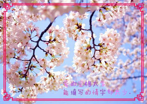 我死后三年，他带着新欢来看我了（林晚姜盛）精彩小说 林晚姜盛全章节免费阅读