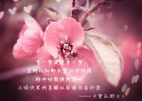 邪王缠上身神医毒妃不好惹(萧令月战北寒)全文免费阅读_邪王缠上身神医毒妃不好惹小说最新章节列表_笔趣阁（萧令月战北寒）