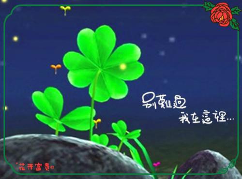 姜倾雪：惨死重生，开局灭仇人撕极品阅读无弹窗大结局_（姜倾雪阅读无弹窗）最新章节列表_笔趣阁（姜倾雪）