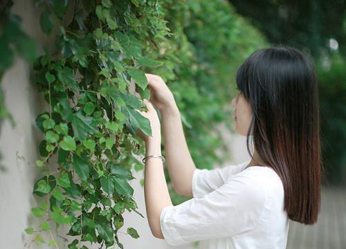 我的男友是言情作者（谢耕姜宝宝完整版全集小说大结局）全文阅读笔趣阁_我的男友是言情作者（我的男友是言情作者谢耕姜宝宝）免费全文