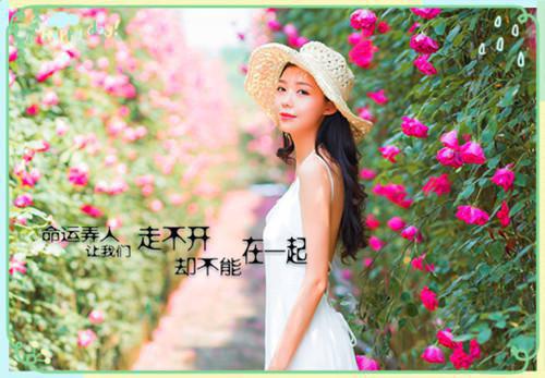 小说逍遥秘书主角为陆渐红孙莉免费阅读