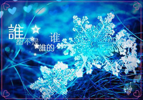 薛冰秦阳（秦阳薛冰）全文免费阅读大结局_秦阳薛冰免费在线阅读无删减