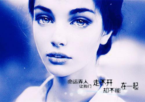 断桥（陆行知虞烟）全文免费阅读无弹窗大结局_断桥最新章节列表 笔趣阁陆行知虞烟