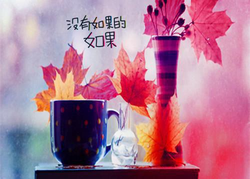你好灵根全文免费阅读(你好灵根小说)全文免费白秋灵谢经纶读无弹窗大结局_ (白秋灵谢经纶)你好灵根小说免费白秋灵谢经纶读无弹窗最新章节列表_笔趣阁（你好灵根小说）