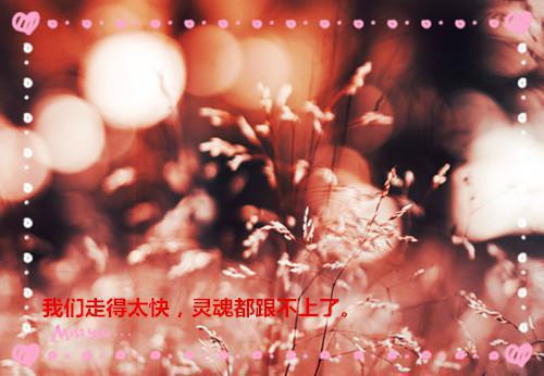 沈卿絮穆瑶（沈卿絮穆瑶）是什么小说 （救命和哥哥的死对头成亲了）无弹窗免费阅读大结局最新章节列表_笔趣阁