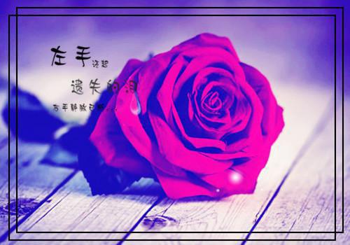 施染顾沉庭小说(施染顾沉庭)全文免费阅读无弹窗大结局_(施染顾沉庭全文大结局)施染顾沉庭最新章节列表_笔趣阁（施染顾沉庭小说）