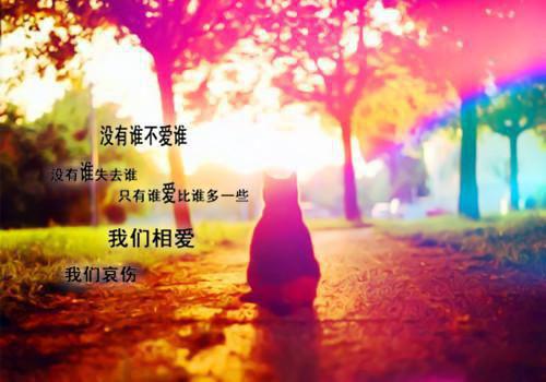 宋时微陆云深全文免费阅读(何须相思煮余年)全文免费宋时微陆云深无弹窗大结局_ 何须相思煮余年宋时微陆云深全文免费宋时微陆云深最新章节列表_笔趣阁（何须相思煮余年）