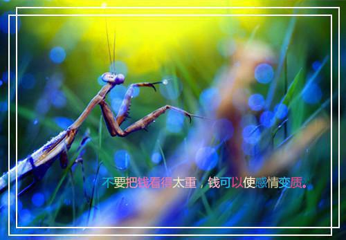 梨烟小说（黎烟温西沉 ）全文免费阅读_（黎烟温西沉 ）梨烟小说全文阅读-笔趣阁梨烟小说
