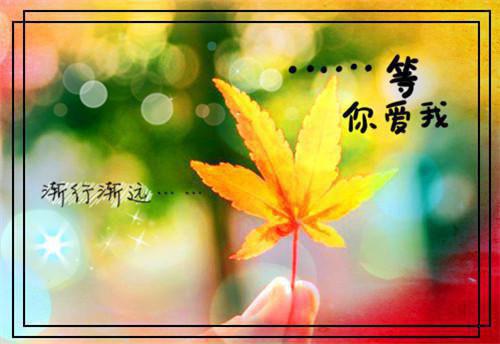 苏绵绵陆江（苏绵绵陆江）全文免费阅读无弹窗大结局_苏绵绵陆江全文免费阅读（苏绵绵陆江）最新章节列表_笔趣阁（苏绵绵陆江）