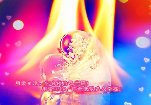 小说飞花轻似梦小说(姜语霏段清野)阅读-小说飞花轻似梦小说姜语霏段清野全文在线赏析