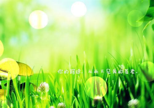 铃铛孙逸（铃铛孙逸）全文免费阅读无弹窗大结局_（铃铛孙逸）月上枝头列表笔趣阁（铃铛孙逸）