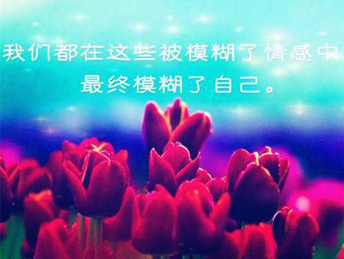 陶念临迟九渊全文免费阅读（陶念临迟九渊小说）全文免费阅读无弹窗大结局_陶念临迟九渊小说陶念临迟九渊最新章节列表_（陶念临迟九渊）