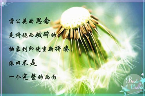 三国强弩：开局何太后喝醉了张杨（三国强弩：开局何太后喝醉了张杨）小说在线阅读-最新小说三国强弩：开局何太后喝醉了张杨全文阅读