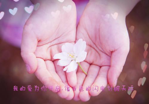 虞梦宁林元钊（林元钊虞梦宁）免费阅读完整版-（虞梦宁林元钊小说）林元钊虞梦宁全文大结局已完结