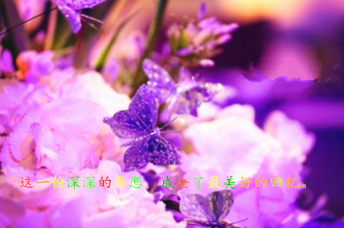 江倪棠霍时迁(江倪棠霍时迁小说)全文免费阅读无弹窗大结局_(江倪棠霍时迁小说全文大结局)江倪棠霍时迁小说最新章节列表_笔趣阁（江倪棠霍时迁）