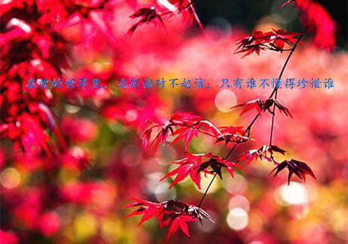 重生后我打脸耿直人设女星后续（陈白芝林晚意齐楚）小说最新章节在线阅读-重生后我打脸耿直人设女星后续（重生后我打脸耿直人设女星后续）已完结全集大结局