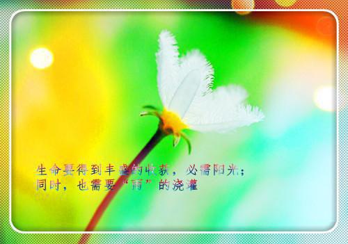 甜炸小人鱼又在贺少心巴上撒欢全文免费阅读大结局_甜炸小人鱼又在贺少心巴上撒欢全文免费阅读无弹窗_笔趣阁（蓝绮贺斯渊）