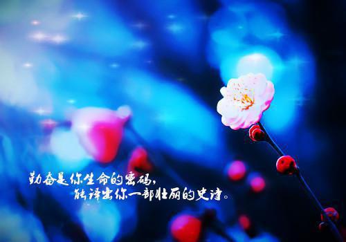 穿越吊打小说（许明月）全文免费阅读_穿越吊打小说全文阅读_笔趣阁（许明月）