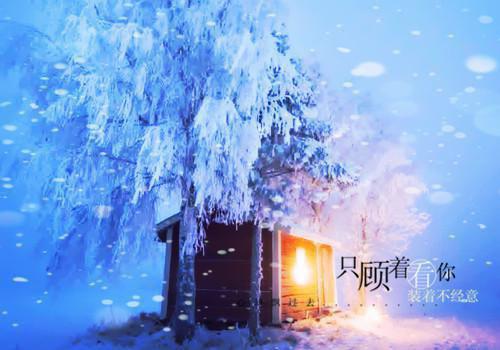 陈砚舟的小说陈砚舟许梨全文无删减许梨陈砚舟全文阅读